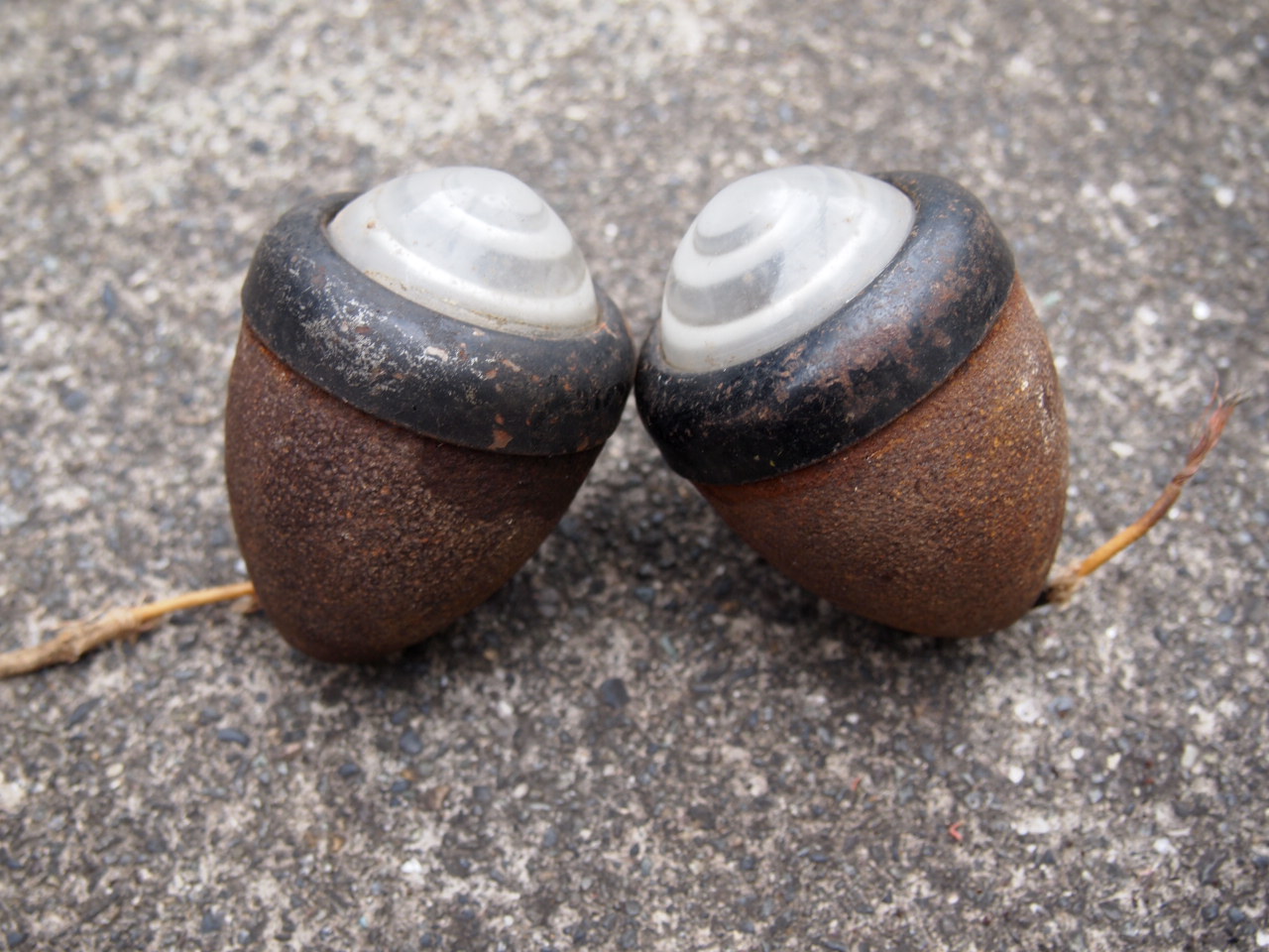 マーカーライト