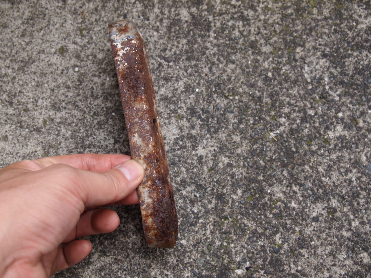 ライザーリンク