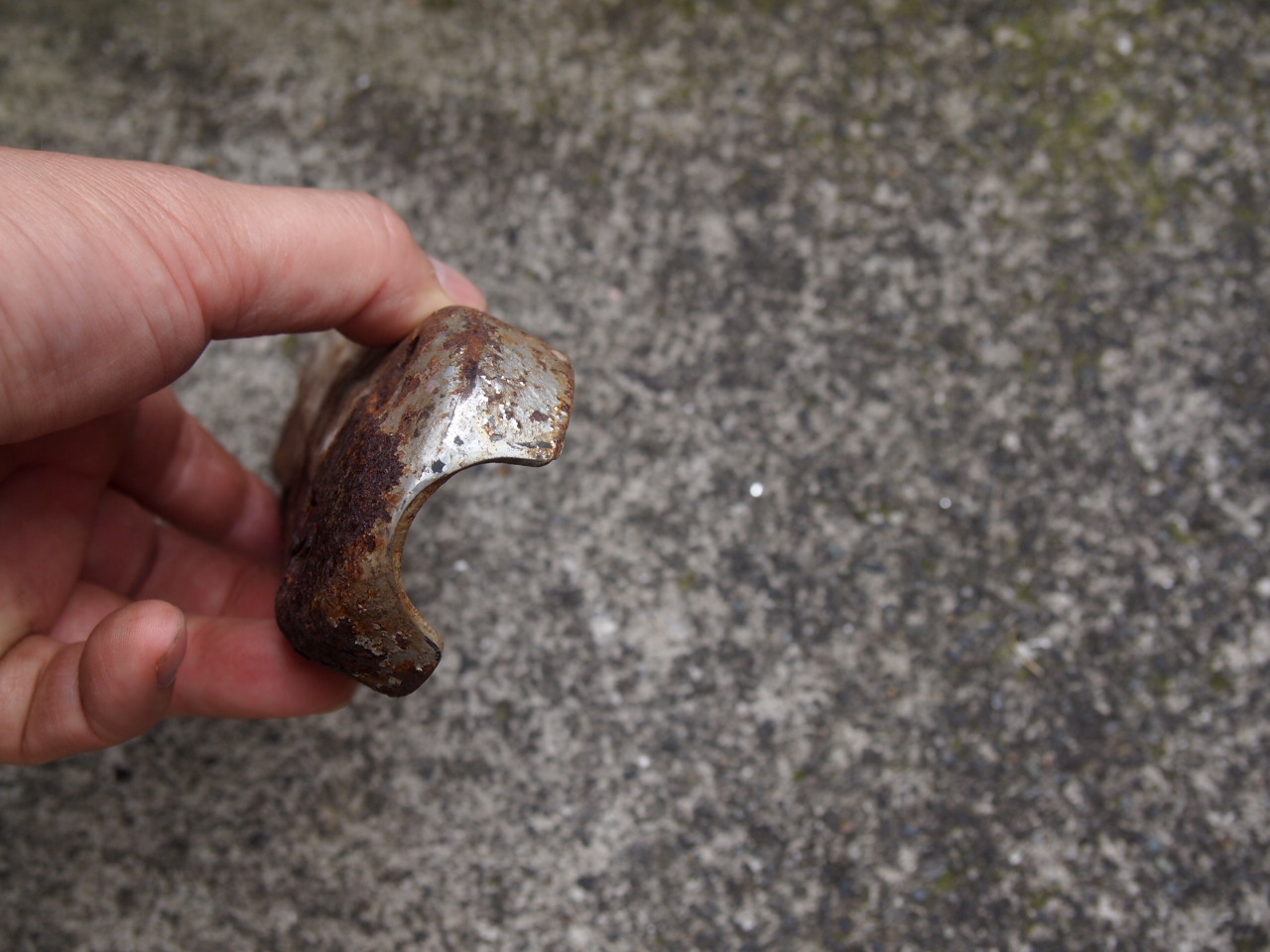 ライザーリンク