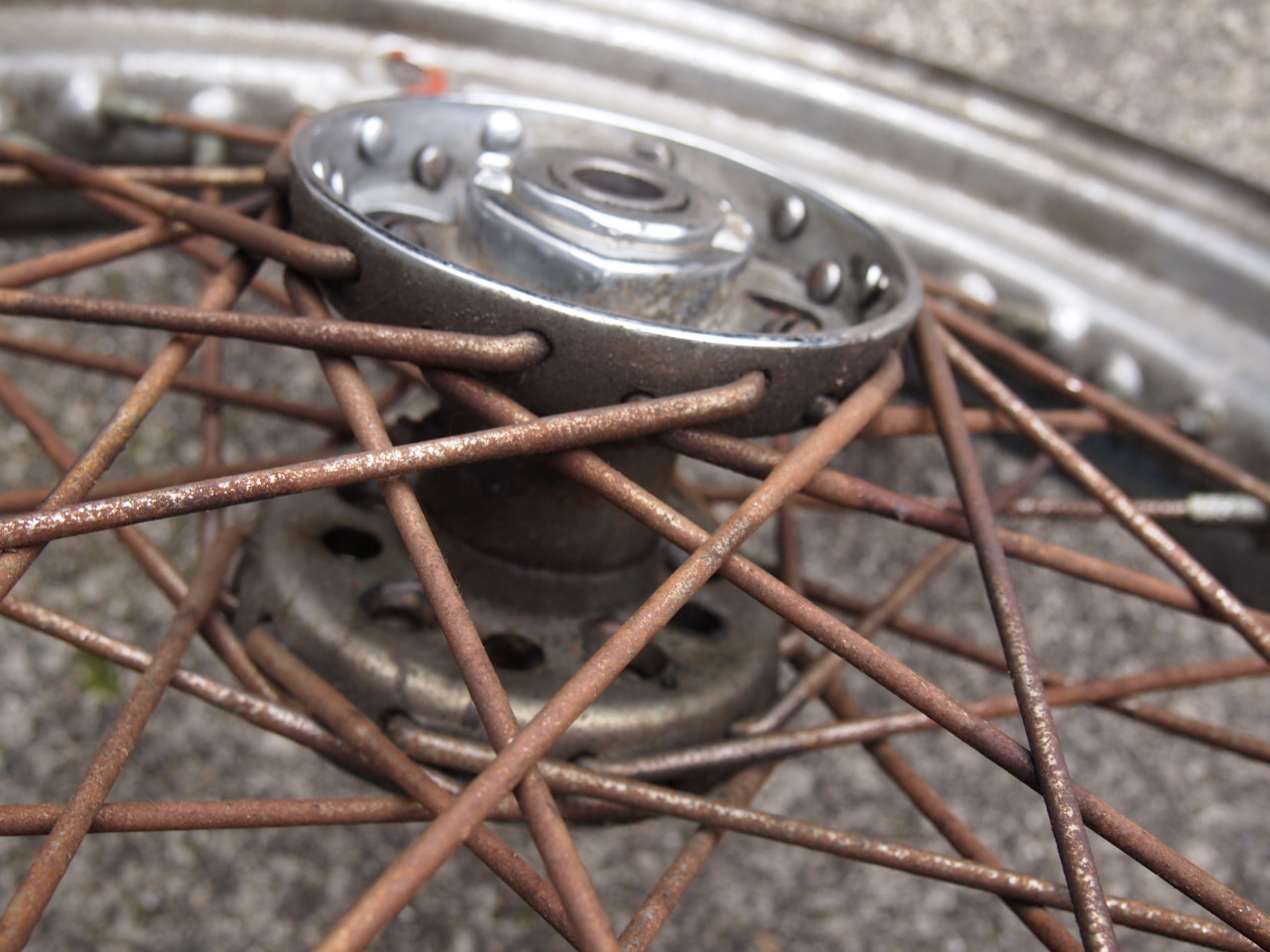 スターハブ１６インチ