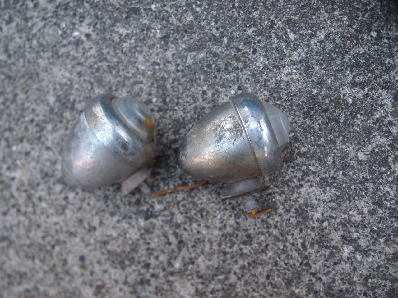 マーカーライト