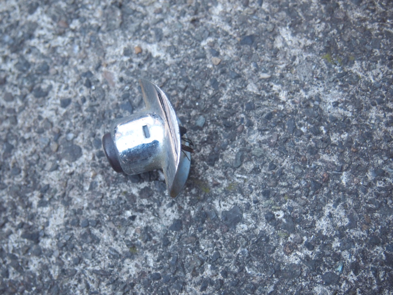 ホーン/セルボタン