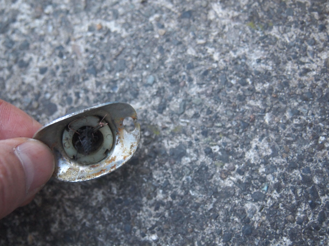 ホーン/セルボタン