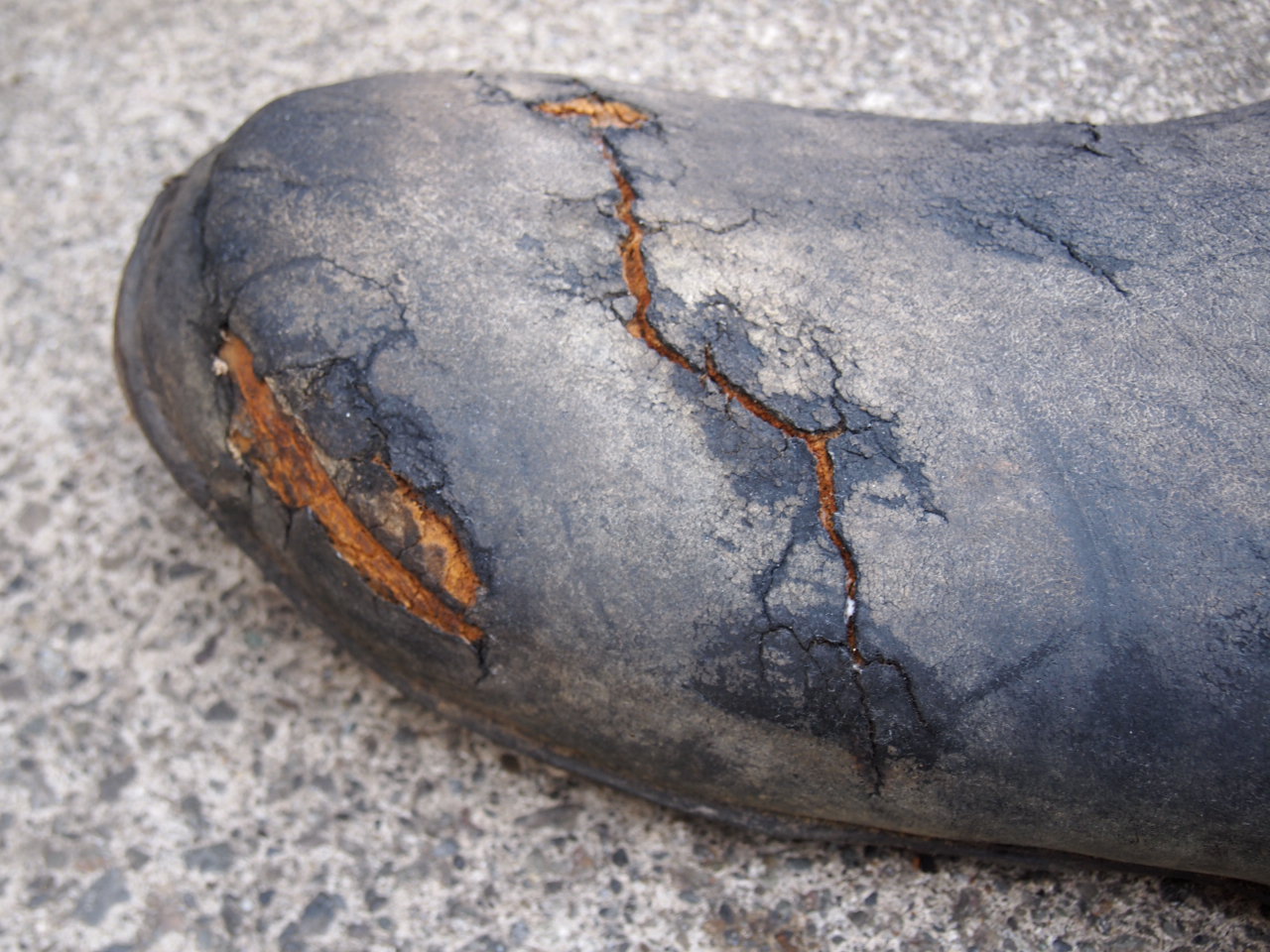 46,47バディシート