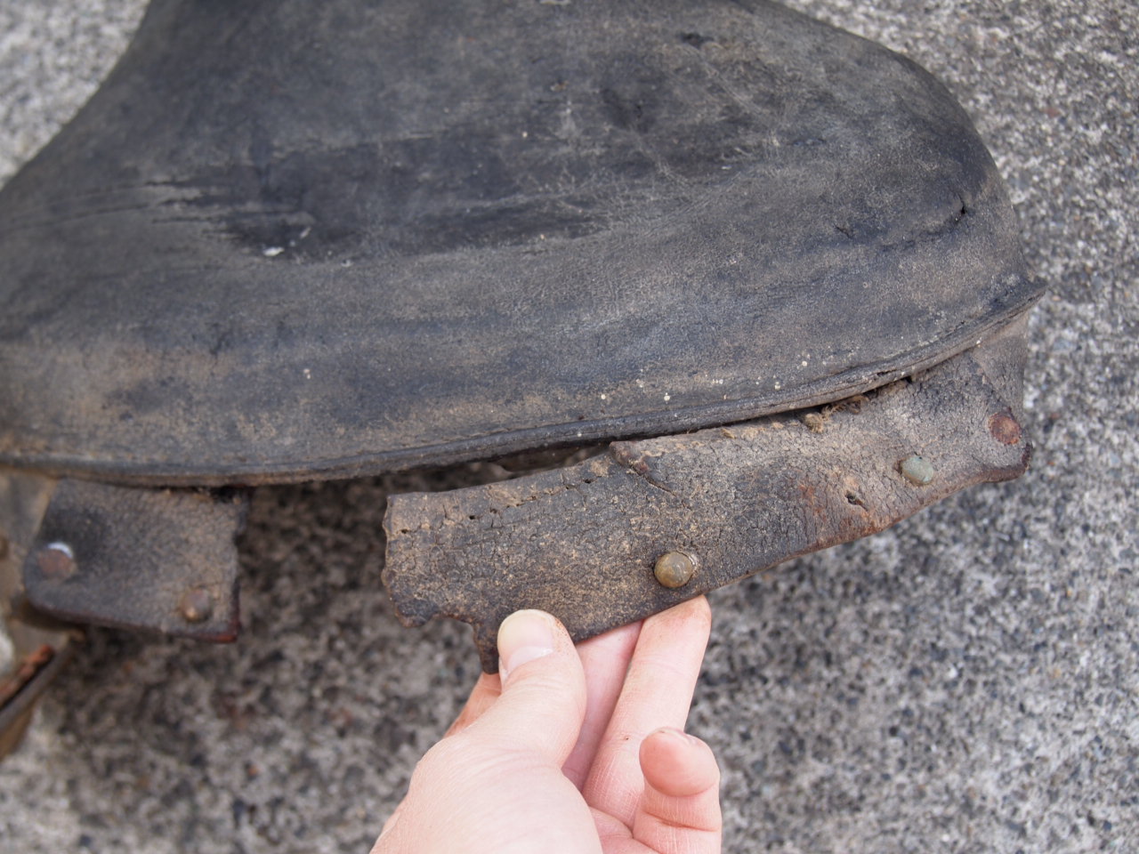 46,47バディシート