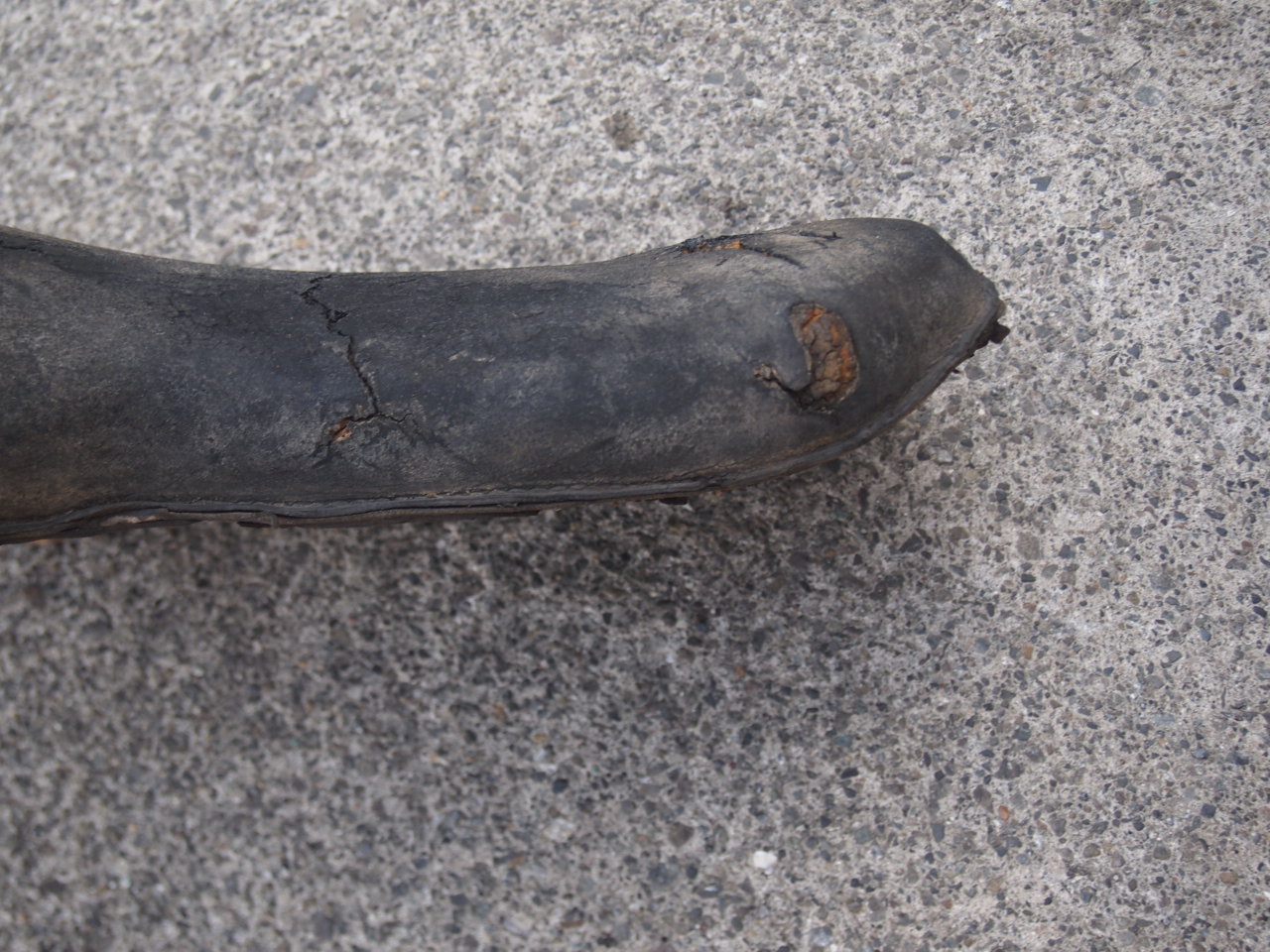 46,47バディシート