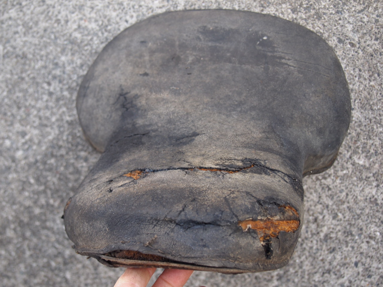 46,47バディシート