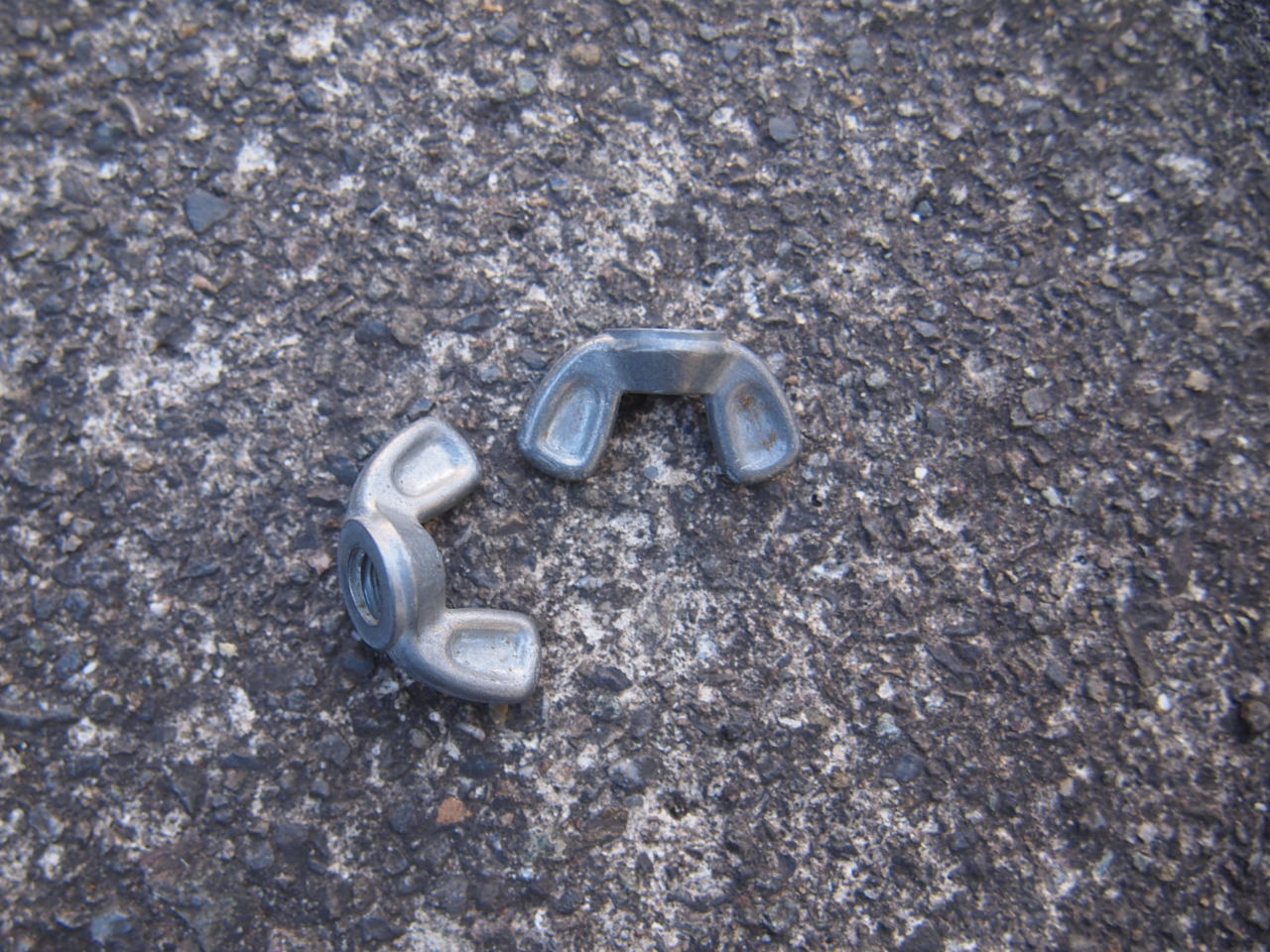 WLウィングナット