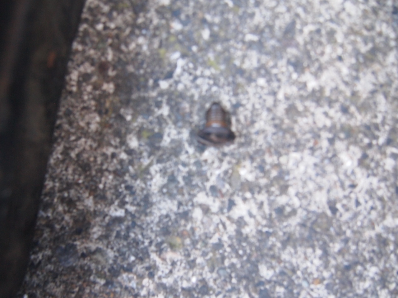 58-64 ツールボックス