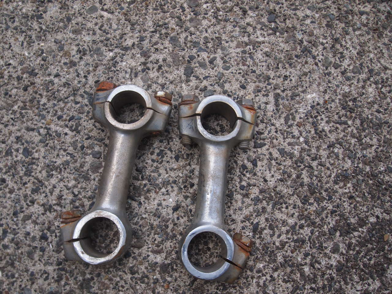 3.5ドッグボーン