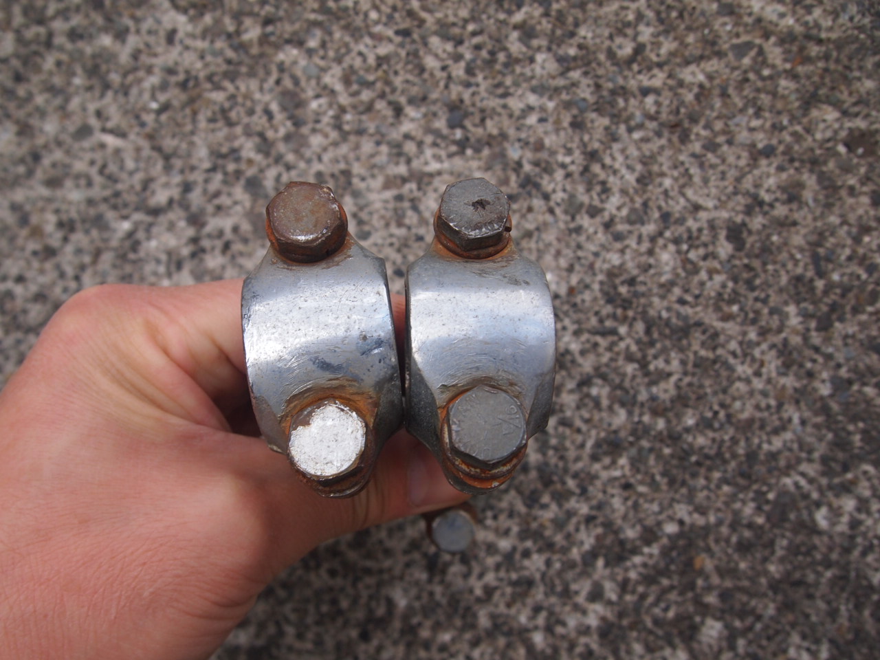 3.5ドッグボーン