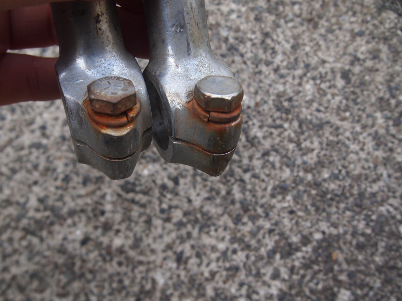 3.5ドッグボーン