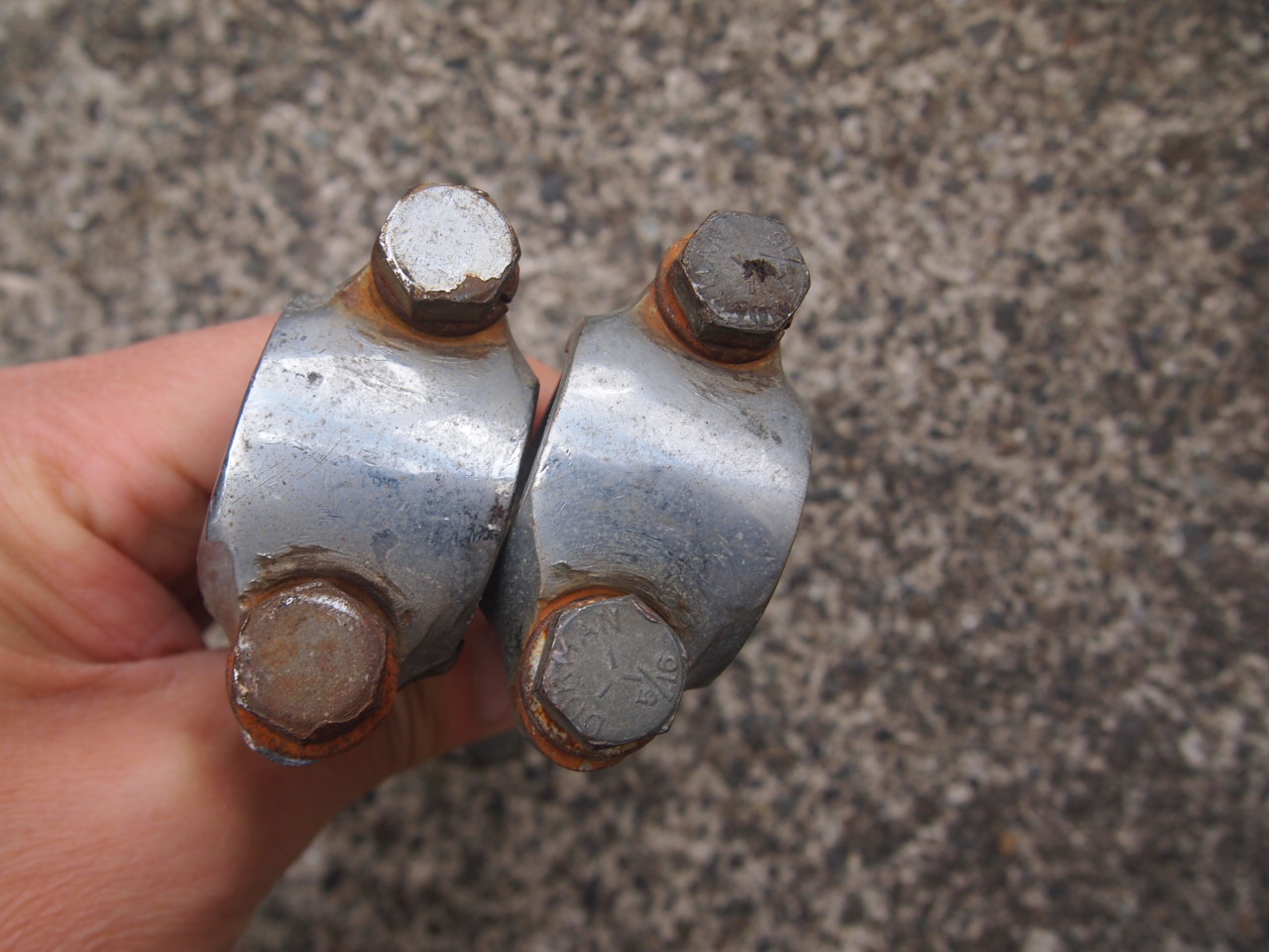 3.5ドッグボーン