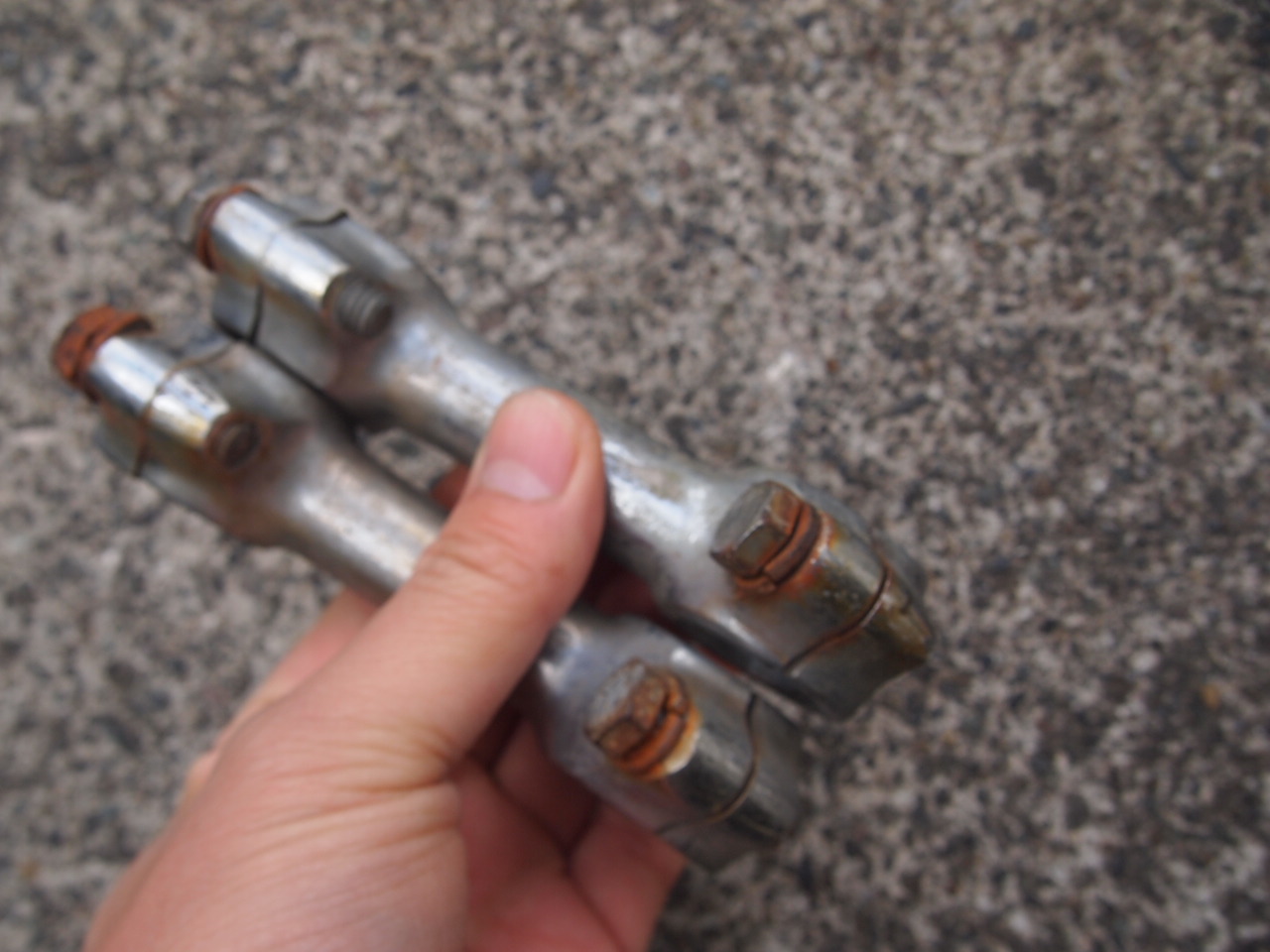 3.5ドッグボーン