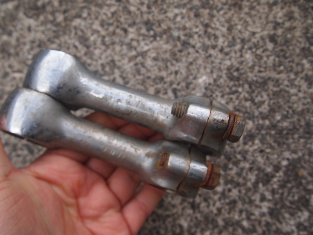 3.5ドッグボーン