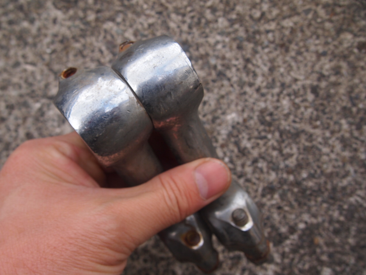 3.5ドッグボーン