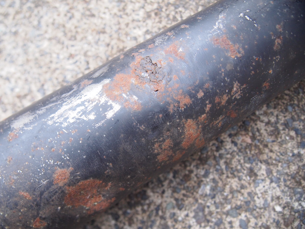 キャットテールシガー