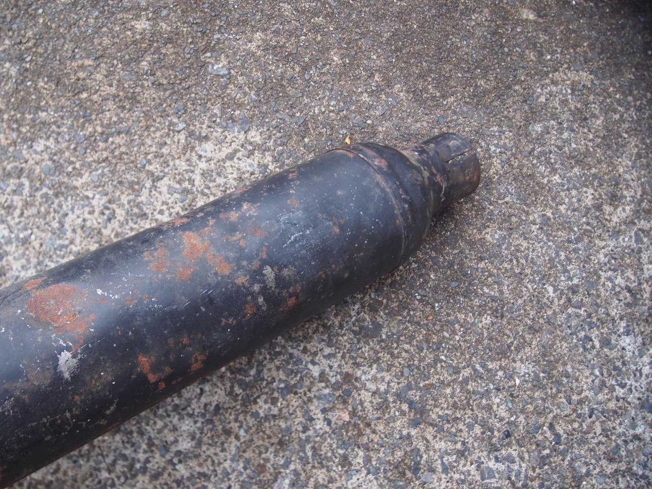 キャットテールシガー