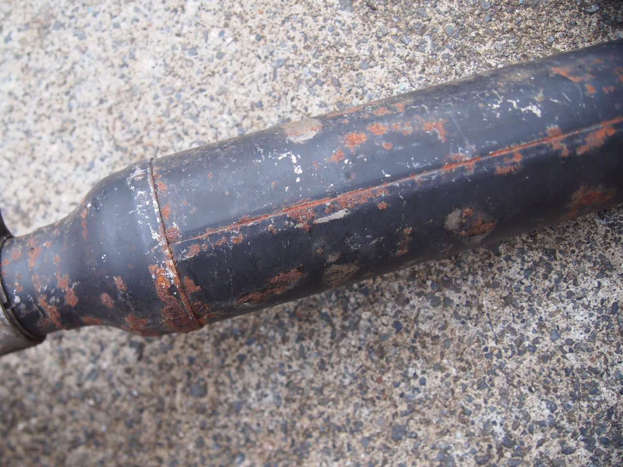 キャットテールシガー