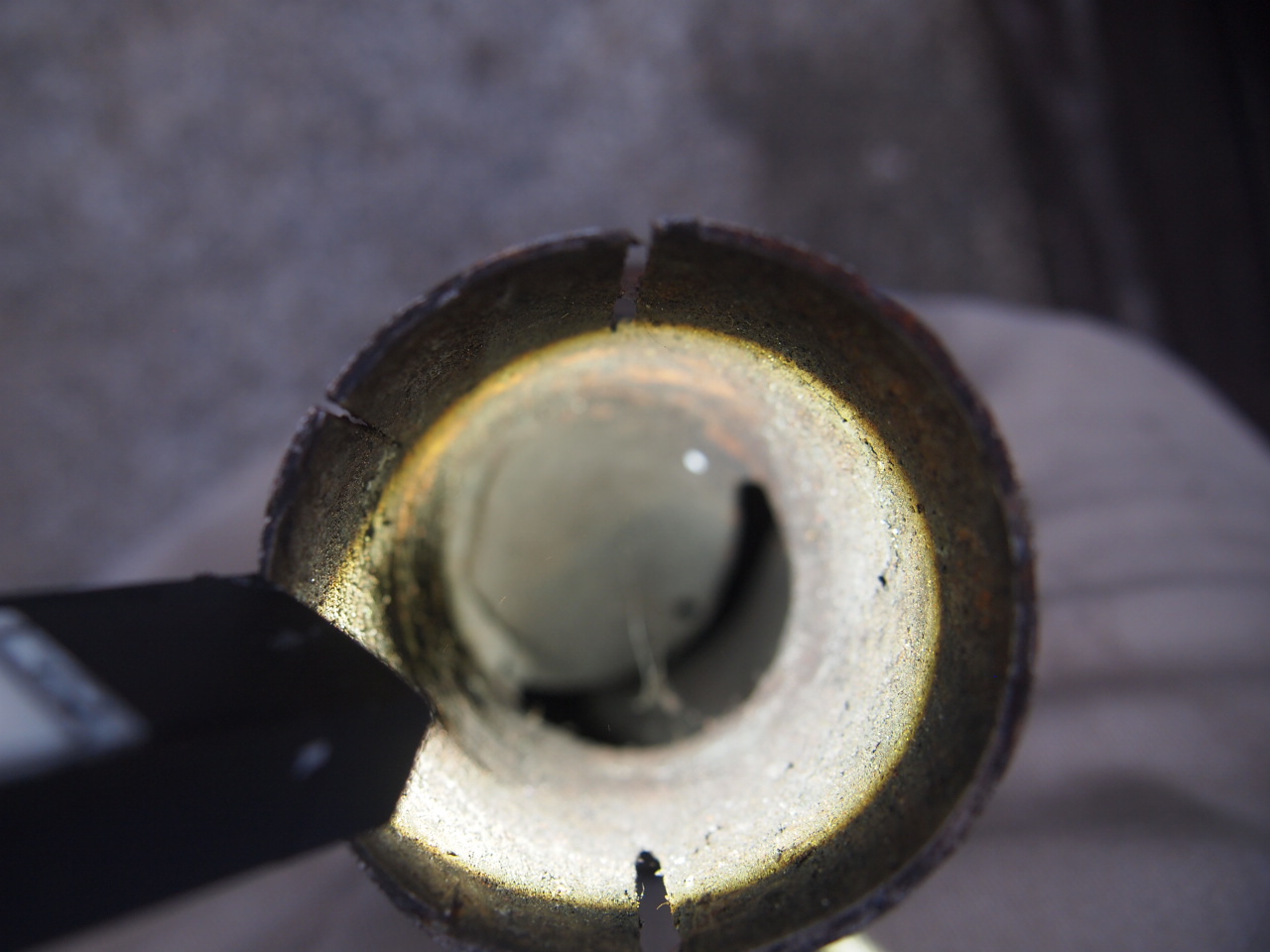 キャットテールシガー