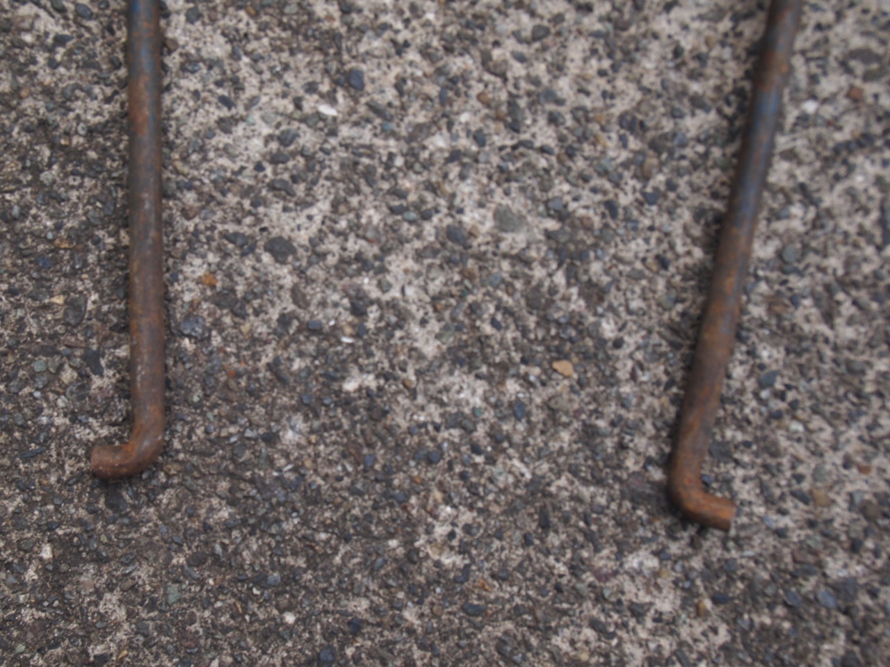 バッテリーロッド＋ウィングナット