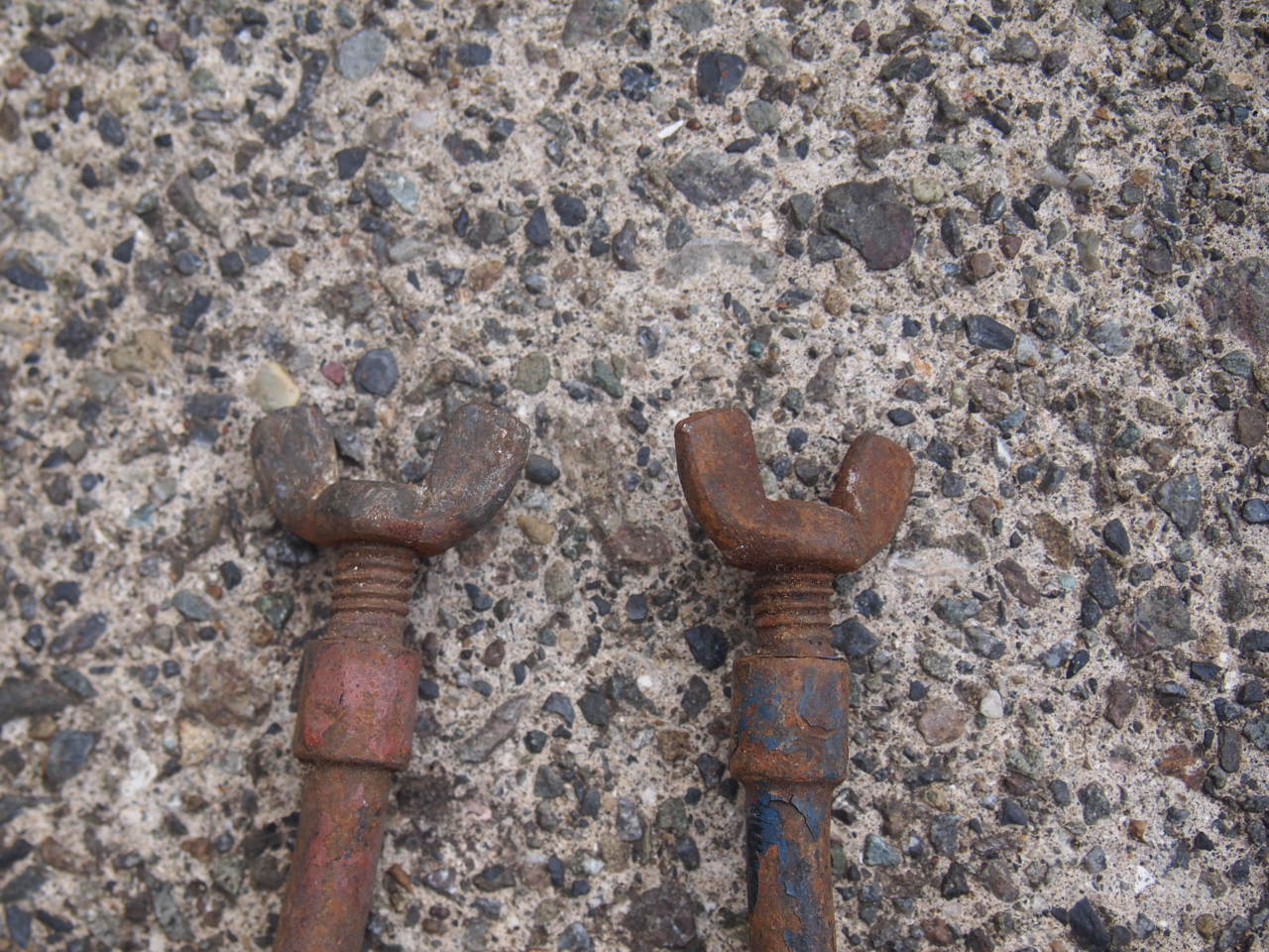 バッテリーロッド＋ウィングナット