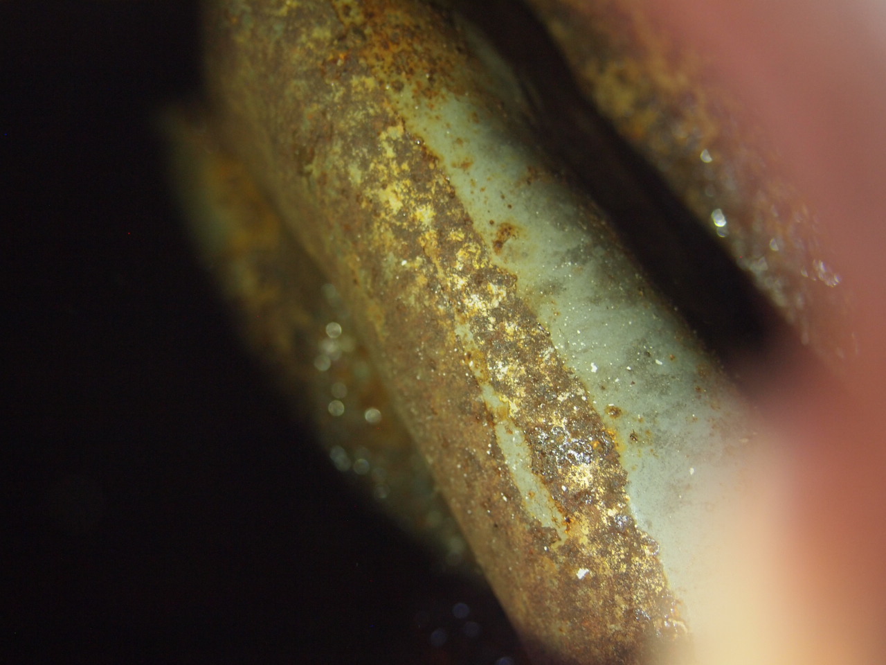 スポーティタンク