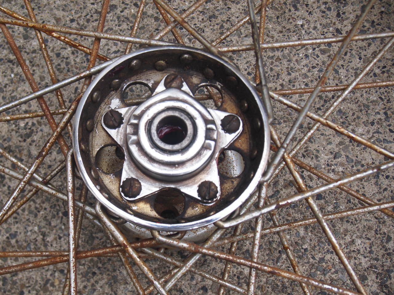 21”スターハブホイール