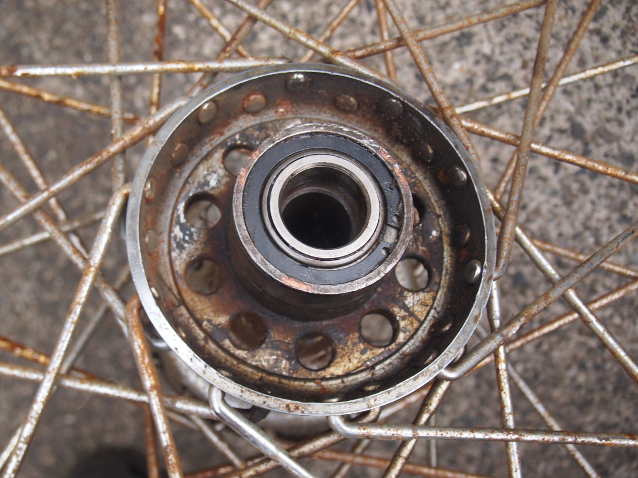 21”スターハブホイール