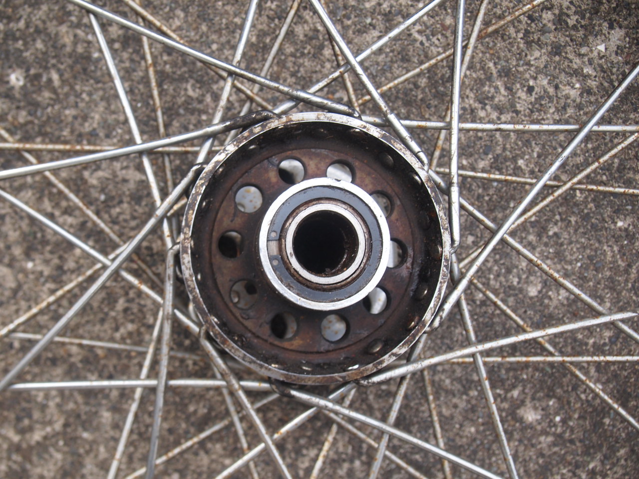 21″スターハブホイール