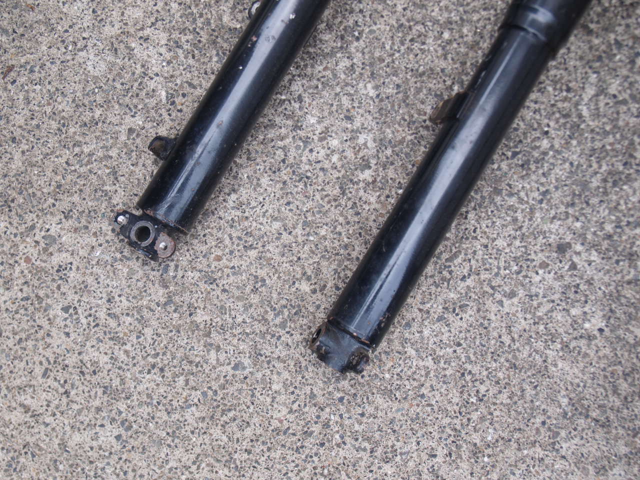 ウォーリアフォーク