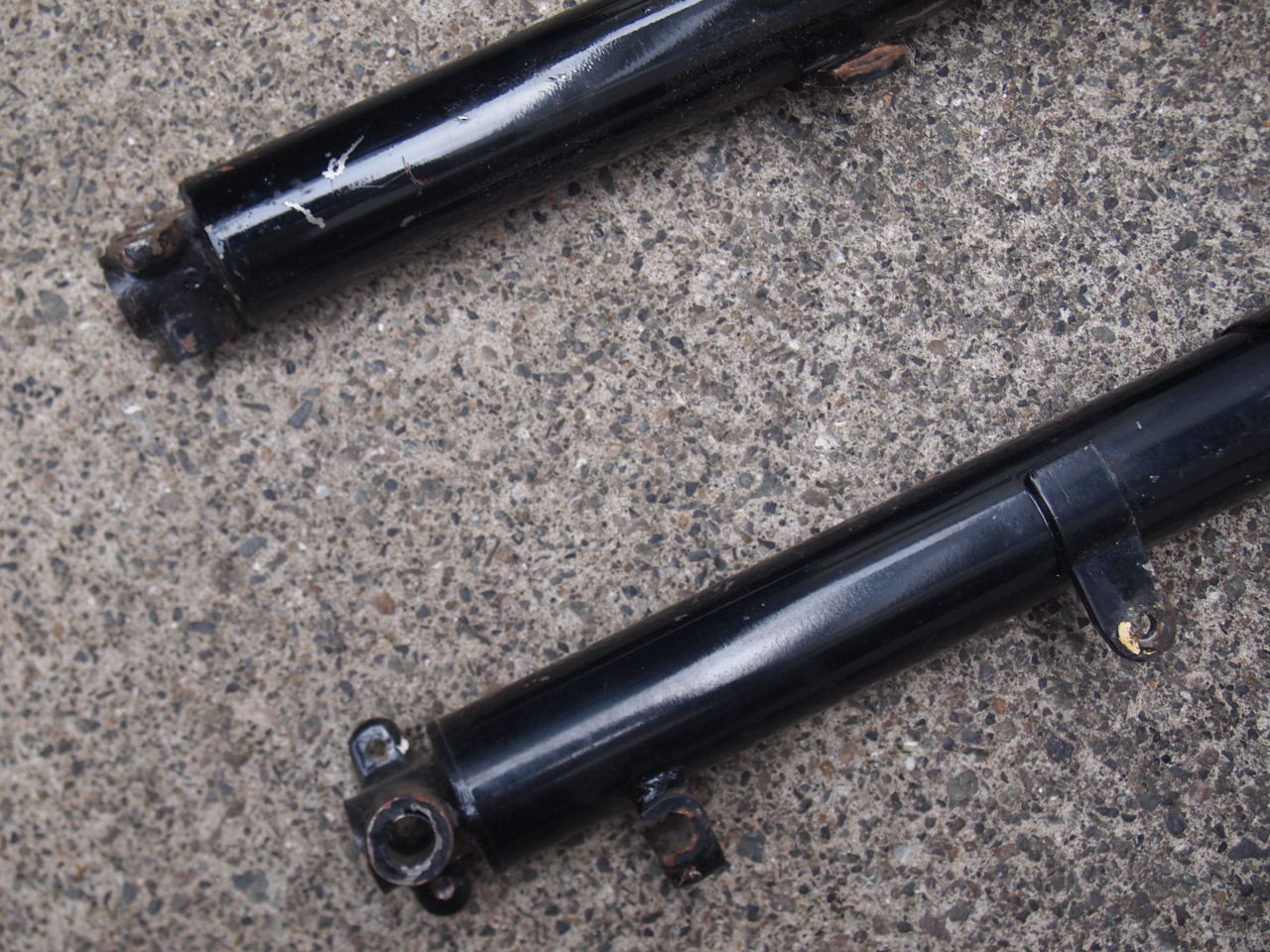 ウォーリアフォーク