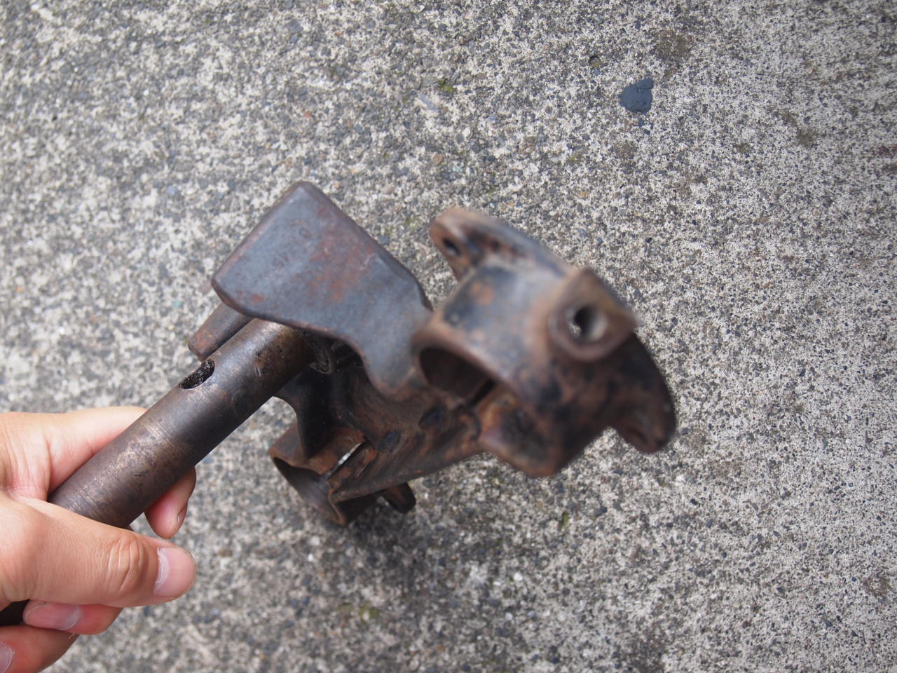 トリプルツリー