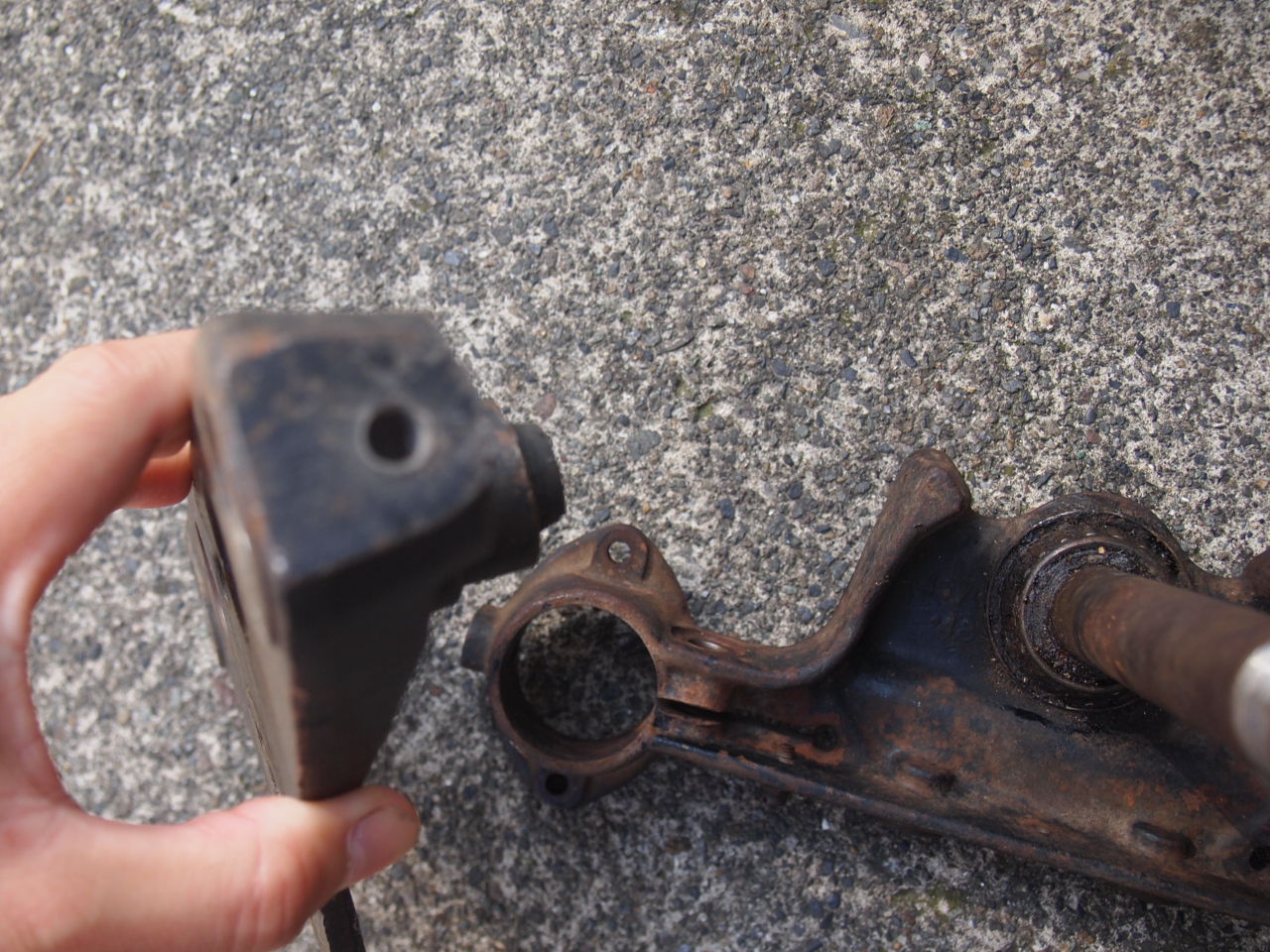 トリプルツリー