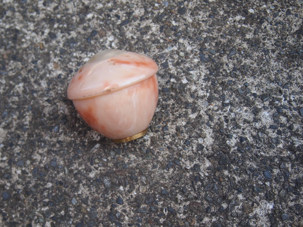 サンテイノブ（犬