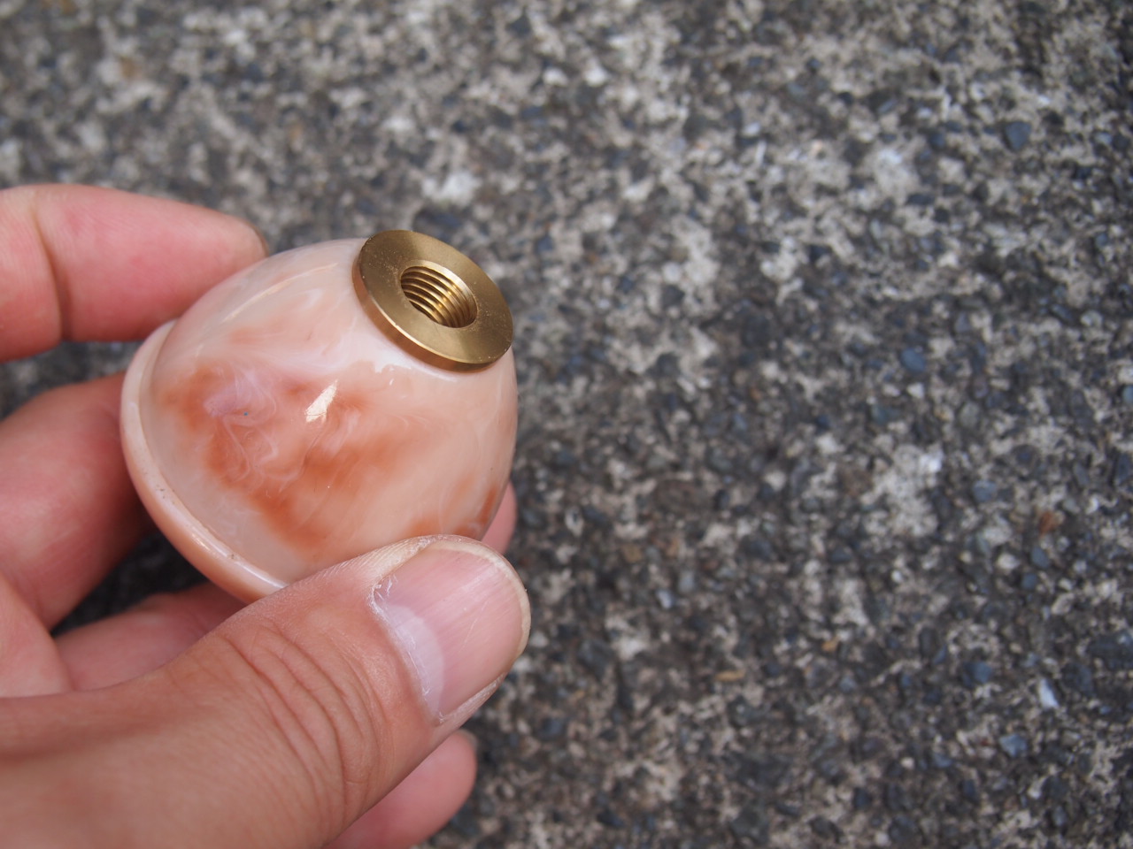 サンテイノブ（犬