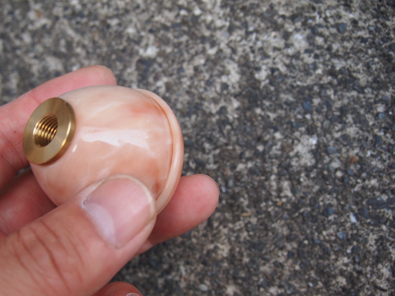 サンテイノブ（犬