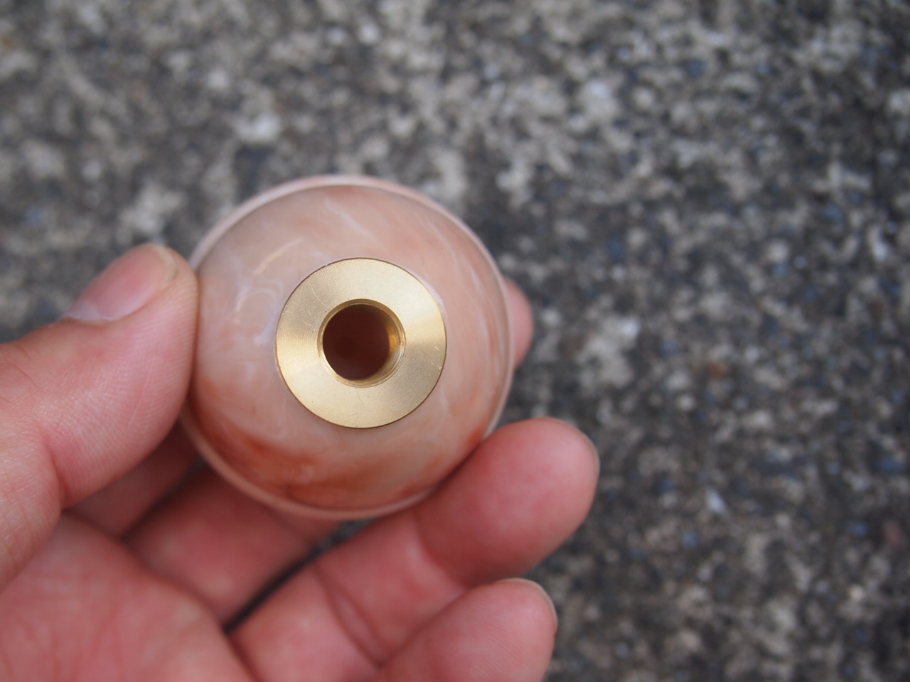 サンテイノブ（犬