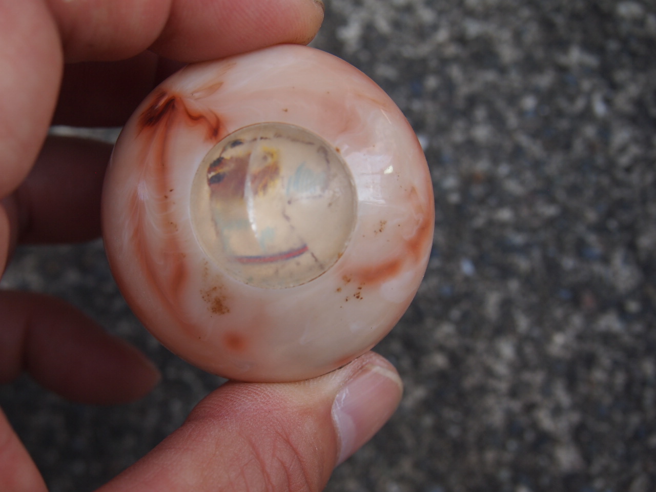 サンテイノブ（犬