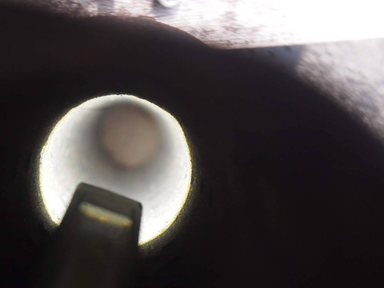 ブラック　シガー