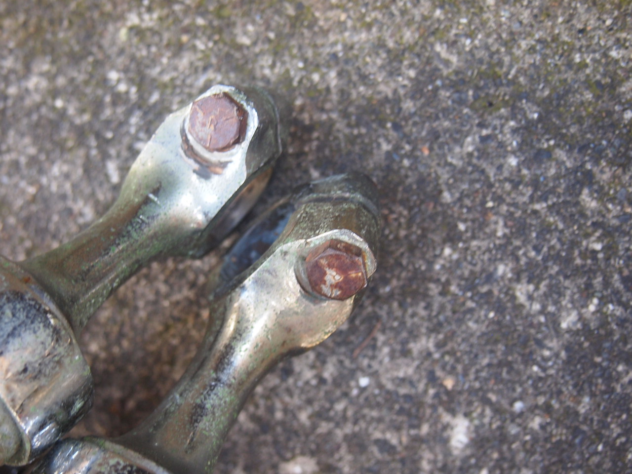 フランダース35