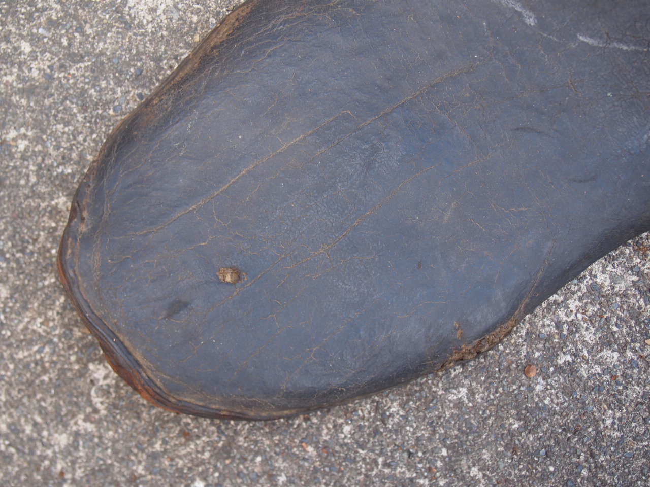 30’sバディシート