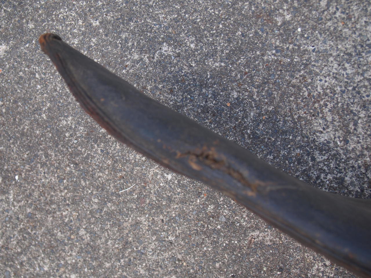 30’sバディシート