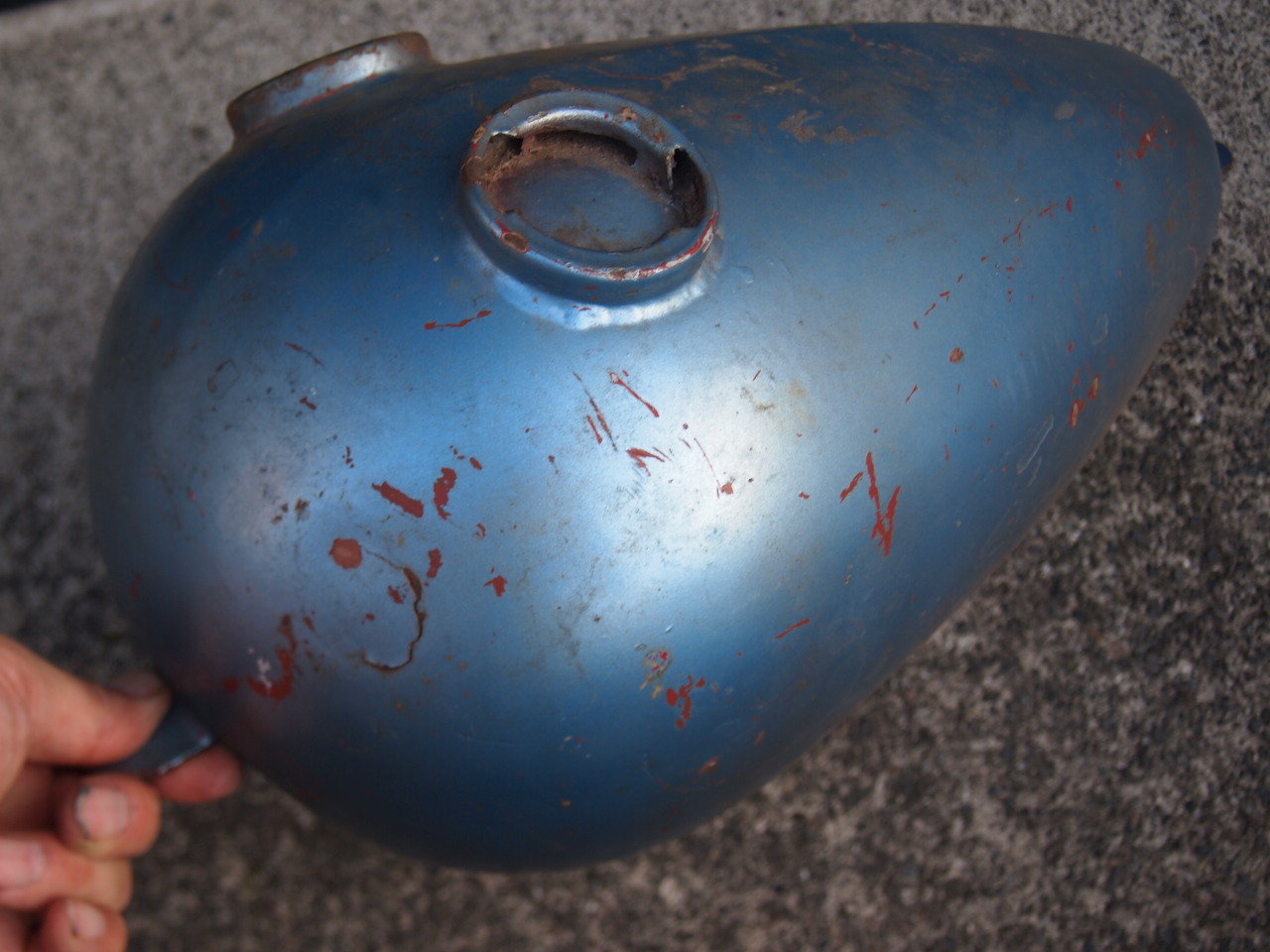 パウコ　エッグタンク