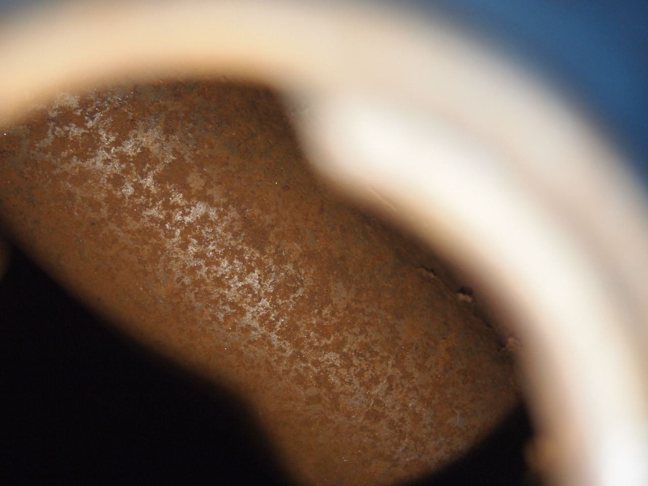 パウコ　エッグタンク