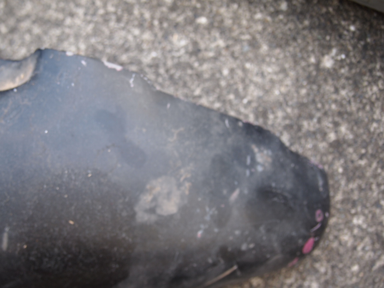 パンヘッド　ガスタンク