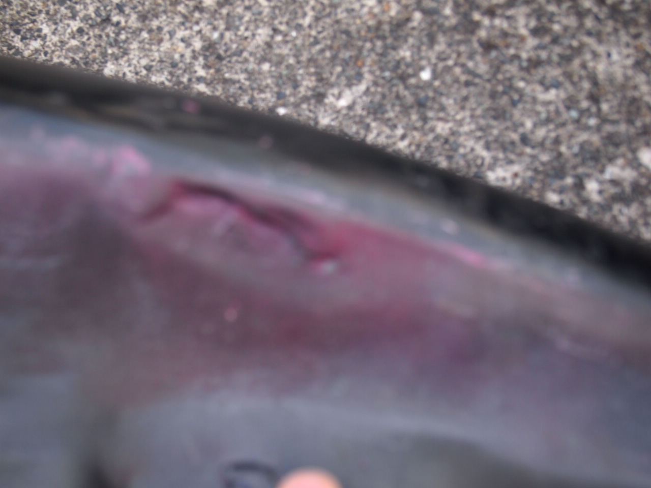 パンヘッド　ガスタンク