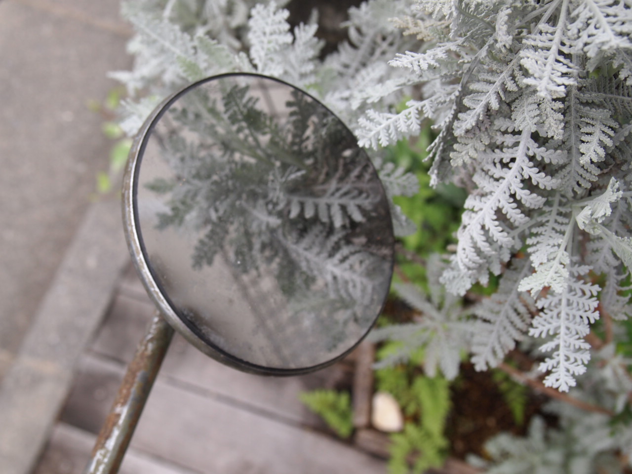 ロングステムミラー