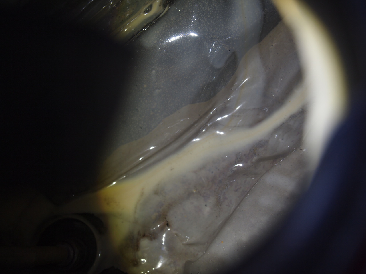 54ハンドシフトタンク