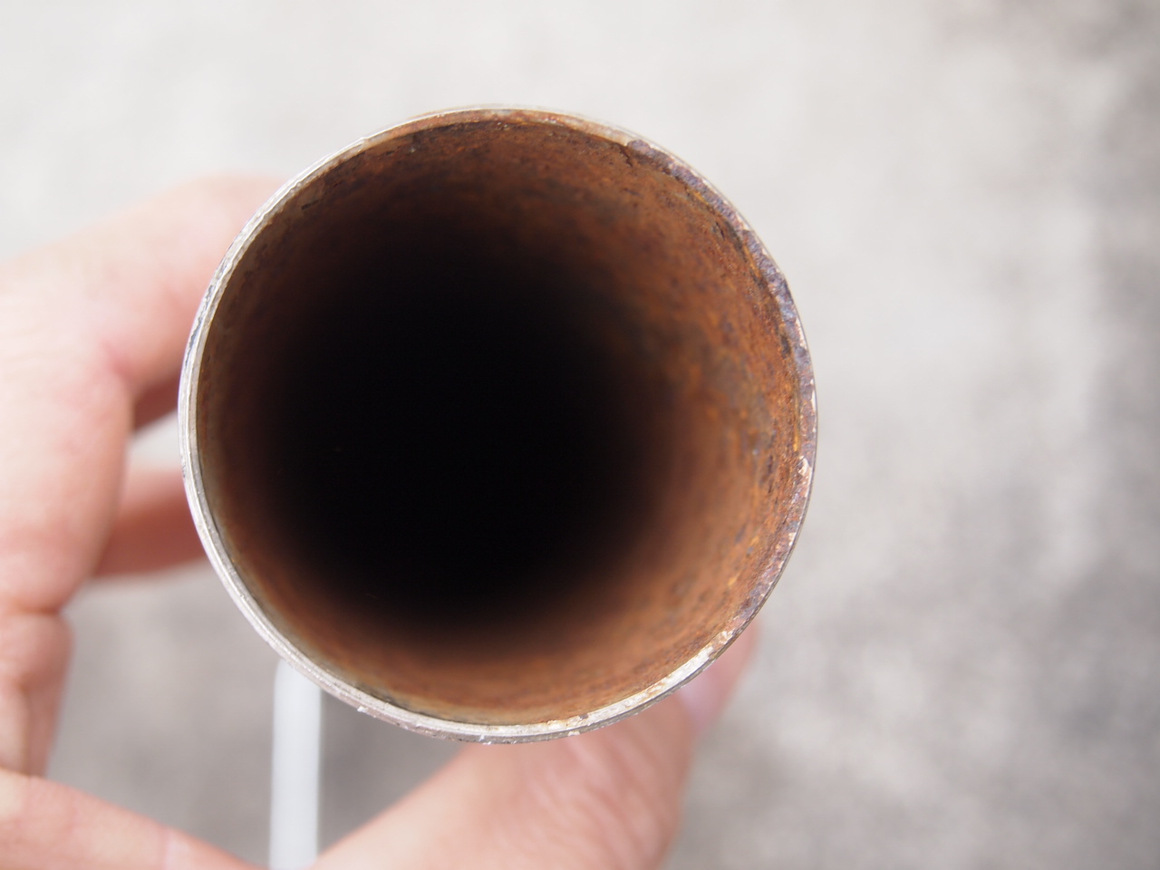 スーペリアフィッシュマフラー